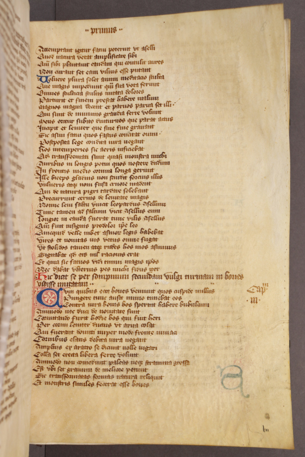 Folio 8 recto